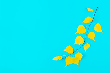 Similar image 21438146