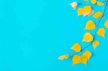 Similar image 21438148