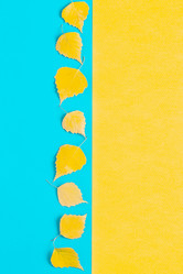 Similar image 21438149