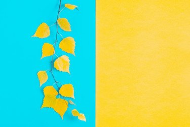 Similar image 21438150