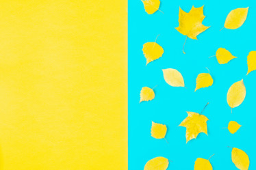 Similar image 21438153