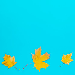 Similar image 21438154