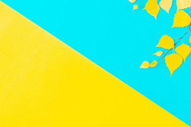 Similar image 21438155