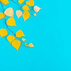 Similar image 21438156