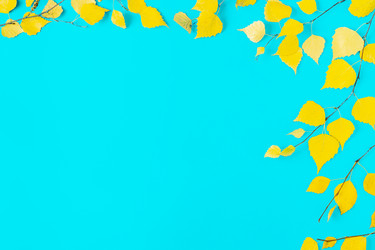 Similar image 21438158