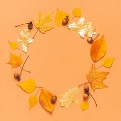 Similar image 21438176