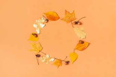 Similar image 21438178