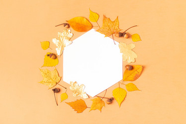 Similar image 21438180