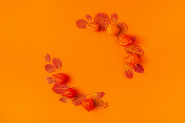 Similar image 21438181