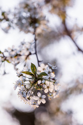 Similar image 21437568