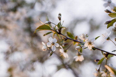 Similar image 21437771