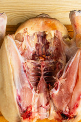 Similar image 21449815