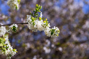 Similar image 21437859