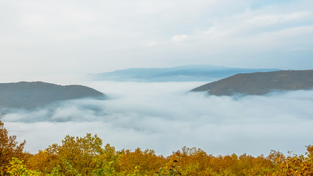 Similar image 21446477