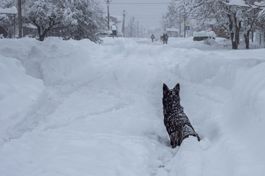 Similar image 21449832