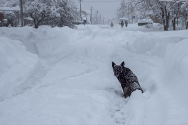 Similar image 21454064