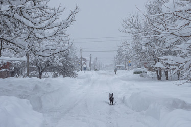 Similar image 21446483