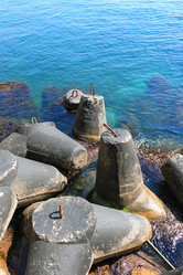 Similar image 21449835