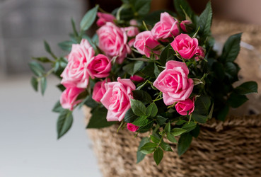 Similar image 21437671