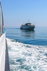 Similar image 21445140