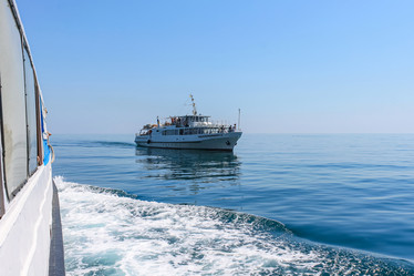 Similar image 21445142