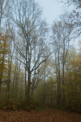 Similar image 21456110