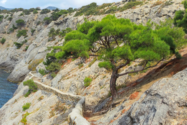 Similar image 21445148