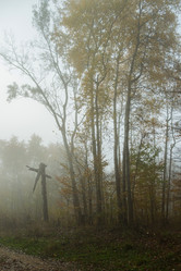 Similar image 21454067