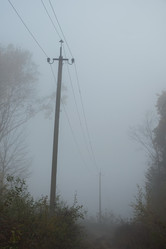 Similar image 21446743