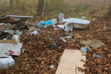 Similar image 21445151