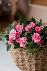 Similar image 21437674