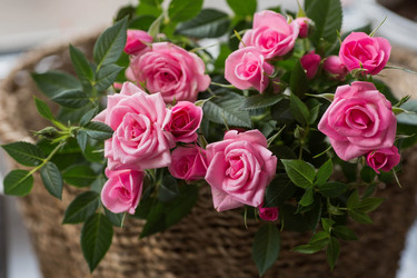 Similar image 21437677