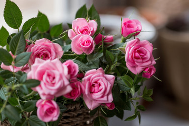 Similar image 21437678