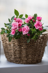 Similar image 21437680