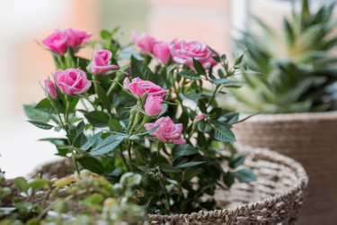 Similar image 21437684