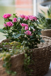 Similar image 21437686