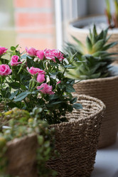 Similar image 21437687