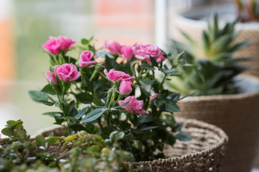 Similar image 21437688