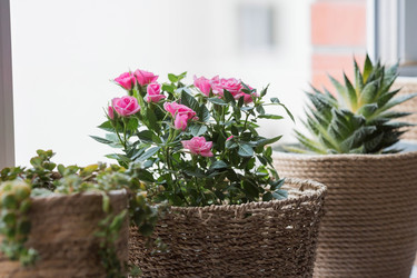 Similar image 21437689