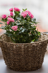 Similar image 21437691