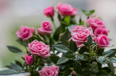 Similar image 21437692