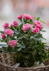 Similar image 21437696