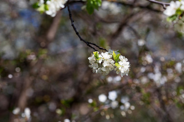 Similar image 21437697