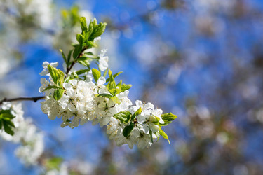 Similar image 21437698