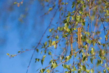 Similar image 21437701