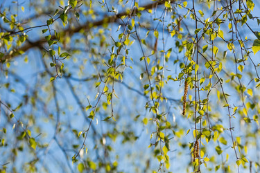 Similar image 21437702