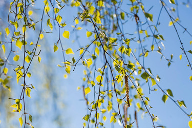 Similar image 21437703