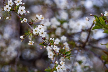 Similar image 21437706