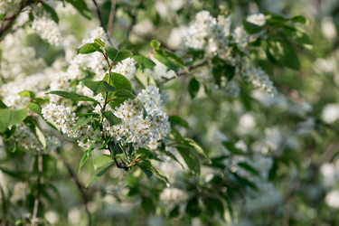 Similar image 21437707