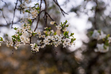 Similar image 21437708